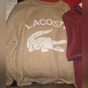 Lacoste gator  sweater  for men good condition wore once